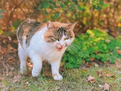 -苏州河梦清园环保主题公园