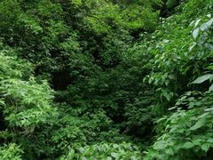 -汉中石门栈道景区