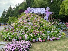 -上海滨江森林公园