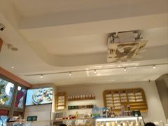 -WHEN PIGS FLY当猪飞