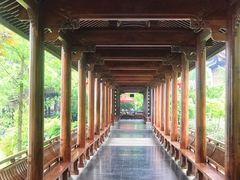 -龙天小镇