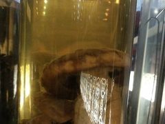 -野菌皇海景野生菌火锅(滨海大道店)