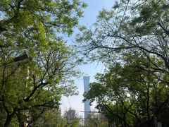 -团结湖公园