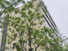 -红星桥(地铁站)