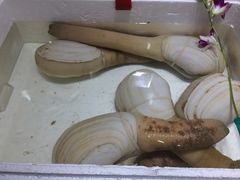 -蚝专家(北滘店)