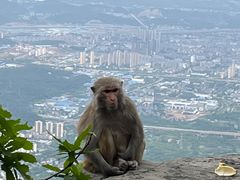 -庐山风景名胜区