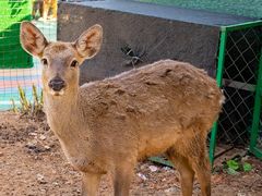 -莆田亚特湾水上乐园(原水上欢乐谷)