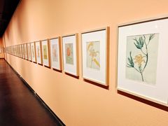 -江苏省美术馆(长江路新馆)