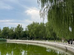 -莲花池公园