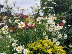 -七宝老街-闵行市民文化广场