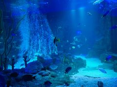 -沈阳海洋探索中心