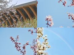 -中国天府农业博览园