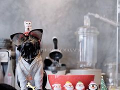 -BE NORMAL CAFE(霞溪路店)