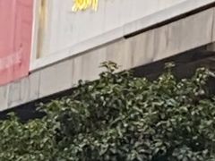 门面-鲍师傅糕点(江苏路店)
