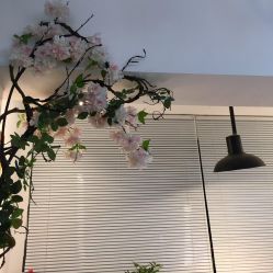 -热发型