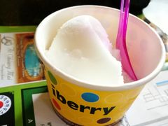 -莓园冰淇淋店