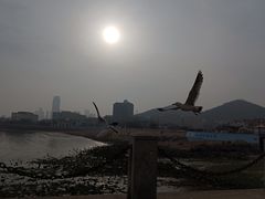 -黑石礁公园