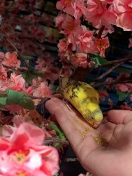 -酷嗒动物文化乐园(cutezoo西溪乐天城店)