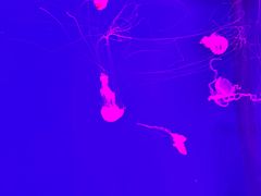 -沈阳海洋探索中心