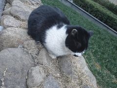 -陆家嘴世纪金融广场