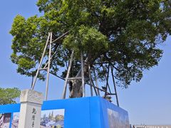 -观潮胜地公园