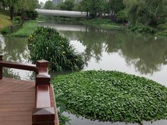 -儒之堂足道·SPA·推拿(莫干山路店)