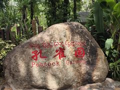 -西双版纳傣族园