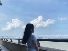 -大湾区中央湿地公园