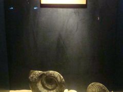 -亚龙湾中心广场·贝壳馆