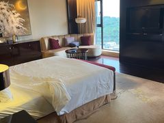 -成都保利公园皇冠假日酒店(熊猫基地店)