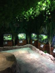 -酷嗒动物文化乐园(cutezoo西溪乐天城店)