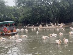 -广州长隆飞鸟乐园