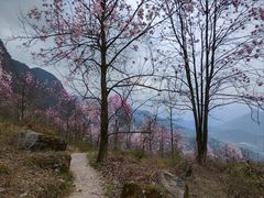 -九皇山景区