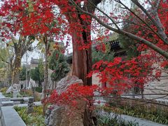 -西安关中民俗艺术博物院