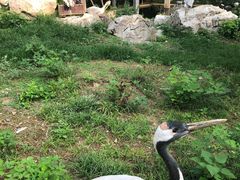 -石家庄市动物园