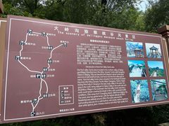 -大岭沟猕猴桃谷风景区
