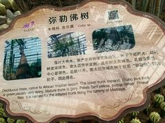 -南山植物园