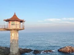 -小麦岛公园