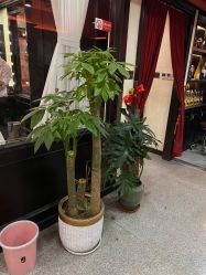 -东方先生国潮男士理发馆