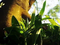 -人民公园(罗湖区)