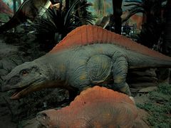 -湖南省地质博物馆