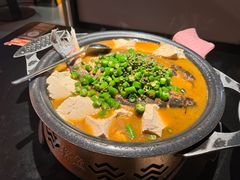 -探鱼·鲜青椒爽麻烤鱼(广州花都来又来店)