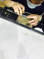 -张师傅首饰加工修理(西单华威潮铺街店)