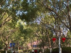 -桐乡植物园