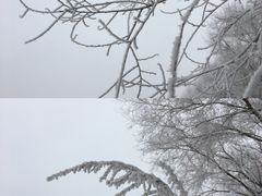 -雾凇岛