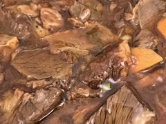 -清真宏玉祥黄门脸餐厅(华荫东里店)