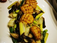 青笋鲍鱼-泰河谷·豆捞