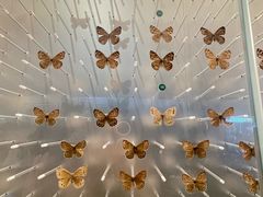 -陕西自然博物馆