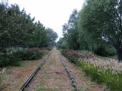 -永定河休闲森林公园