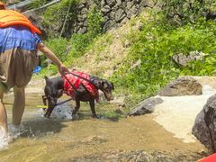 -安吉龙王山峡谷漂流